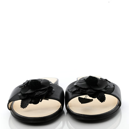 Chanel Lambskin Camellia Sandal Mule 38.5 Black 3 of 8