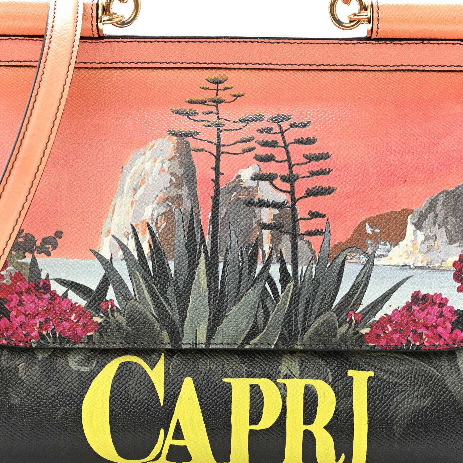 Dolce & Gabbana Dauphine Capri Printed Medium Miss Sicily Satchel Multicolor 7 of 10