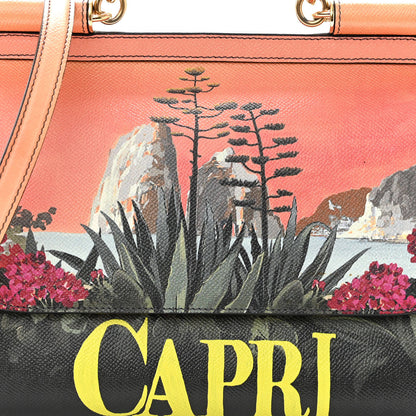 Dolce & Gabbana Dauphine Capri Printed Medium Miss Sicily Satchel Multicolor 7 of 10