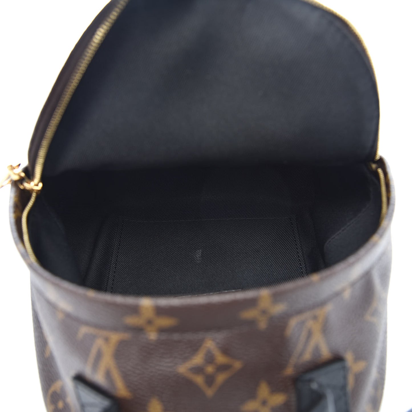 Monogram Palm Springs Backpack Mini