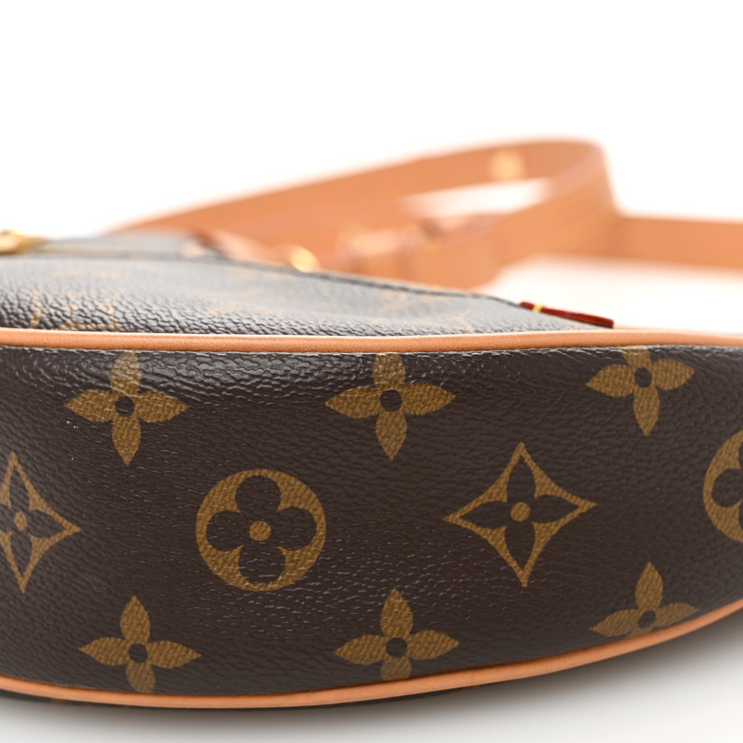 Louis Vuitton Monogram Loop 9 of 9