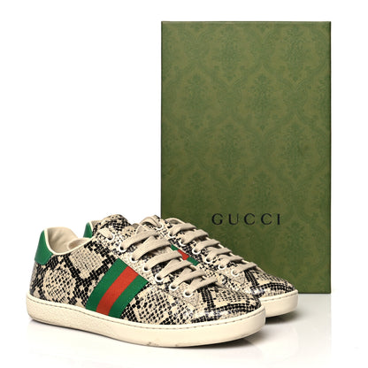 Gucci Calfskin Web Python Print Womens Ace Sneakers 37 Beige Avana New Shamarock 10 of 10