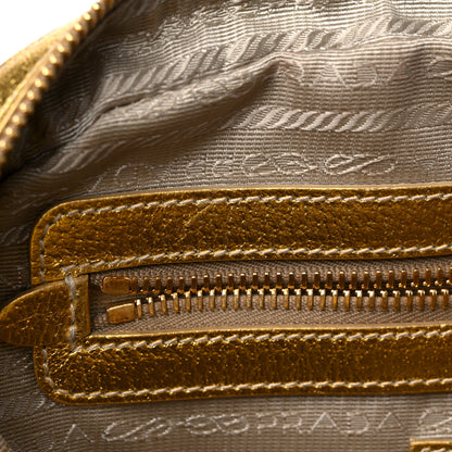 Prada Paglia Cinghiale Frame Tote Naturale Oro 12 of 13