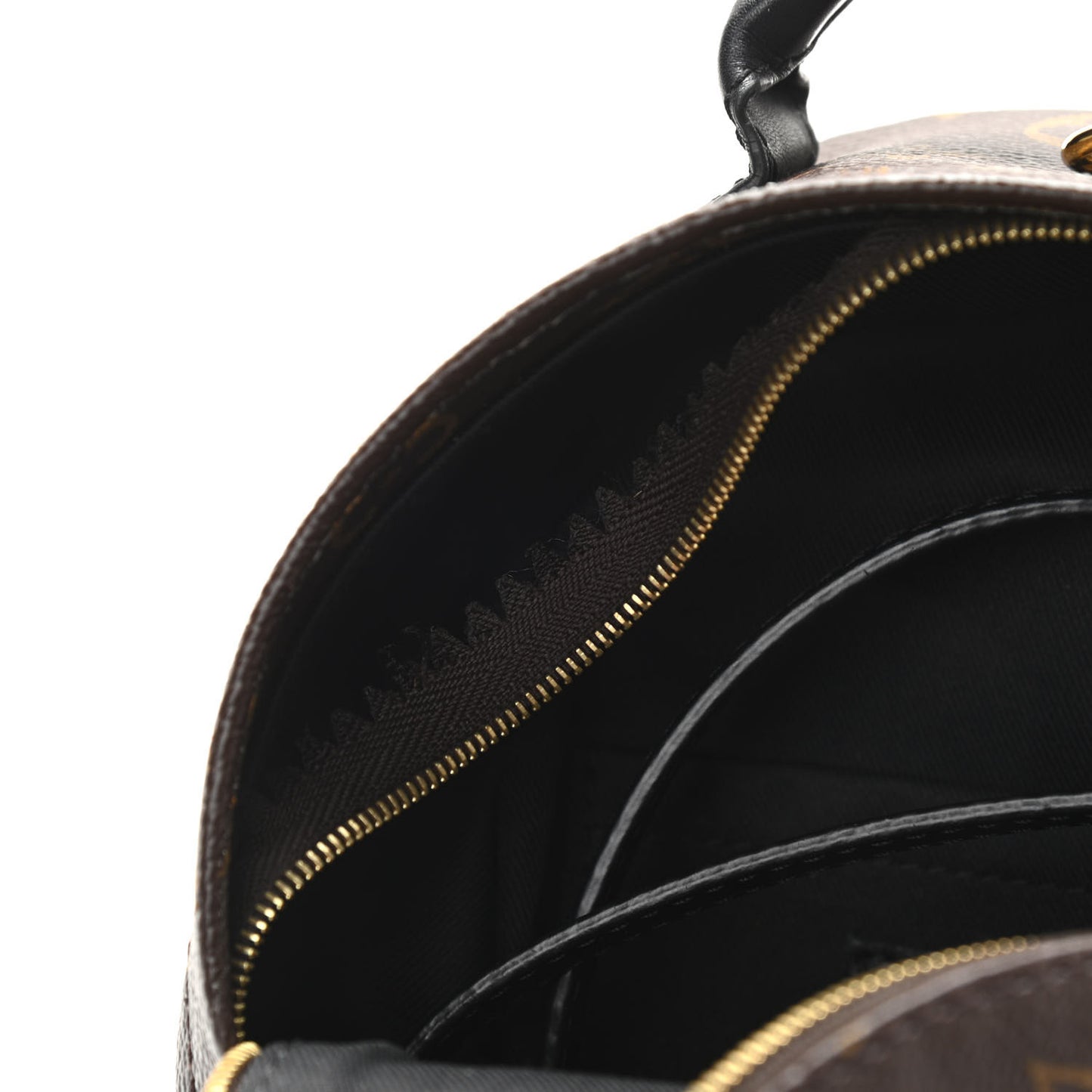 Monogram Palm Springs Backpack Mini