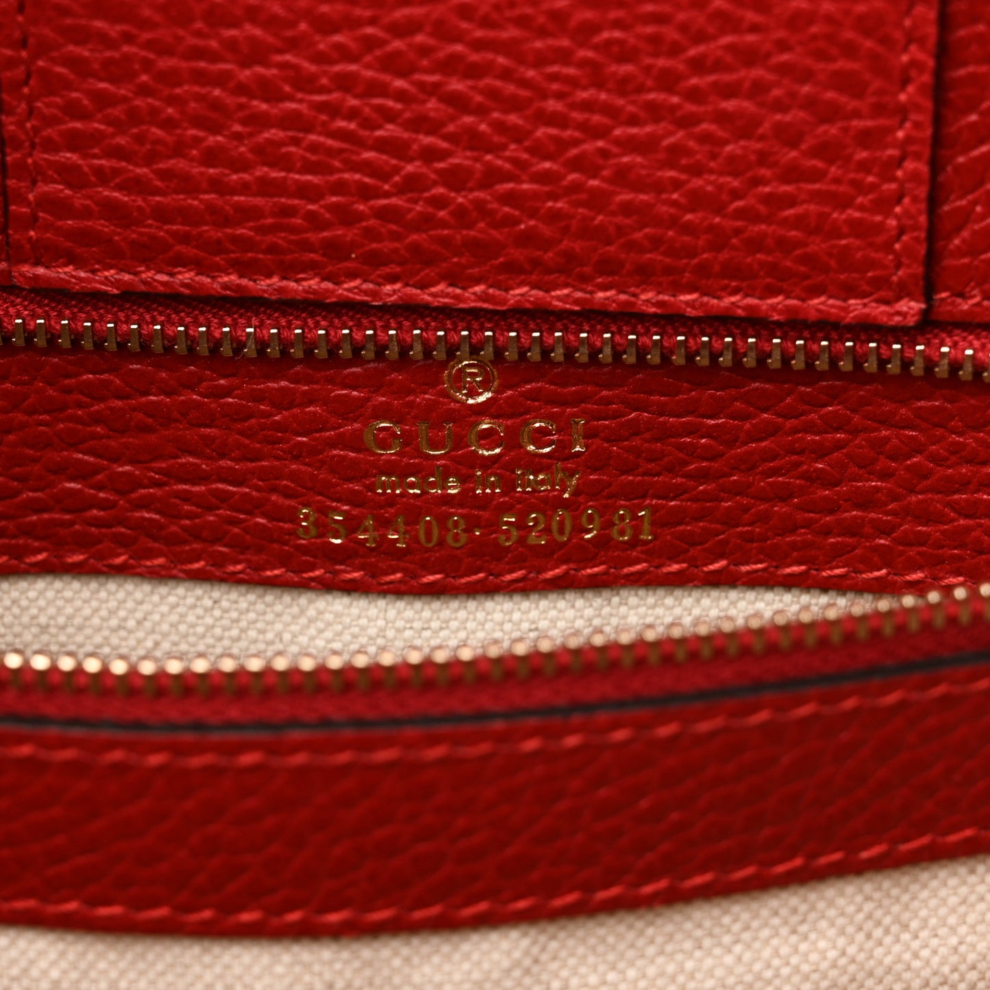 Dollar Calfskin Small Swing Tote Red