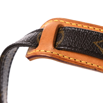 Louis Vuitton Monogram Amazone 19 of 20