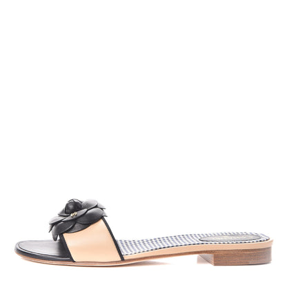Chanel Calfskin Camellia Sandal Mules 41 Beige Black 1 of 8