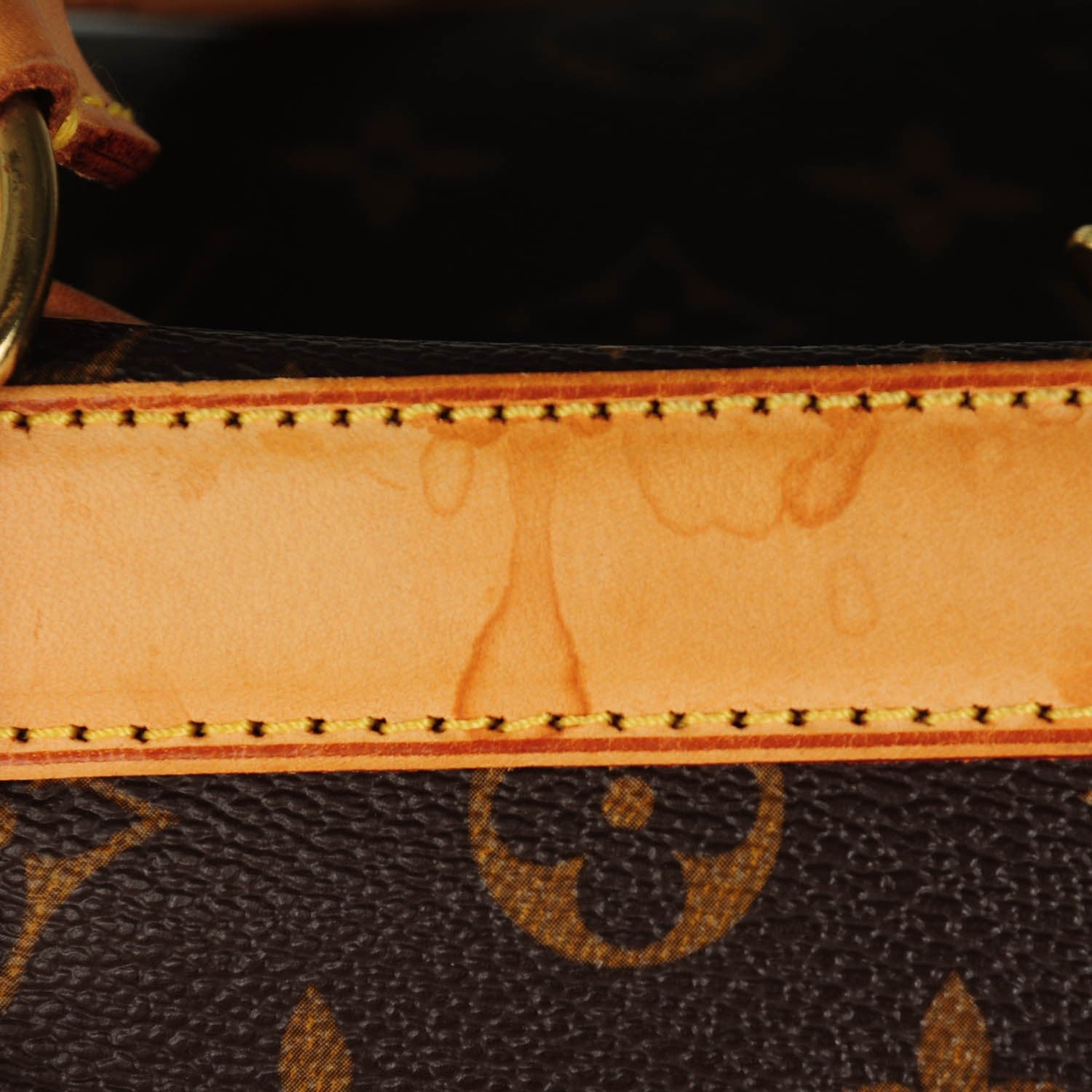 Louis Vuitton Monogram Sac Chien 40 Pet Carrier 149056 – FASHIONPHILE