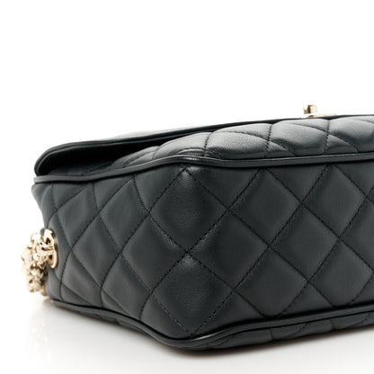 Chanel Lambskin Quilted Tassel Flap Camera Case Black 10 of 12