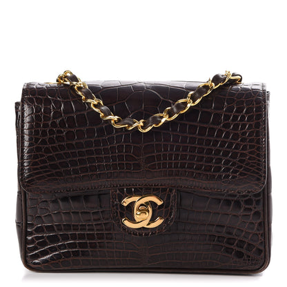 Chanel Alligator Mini Square Flap Dark Brown 1 of 8