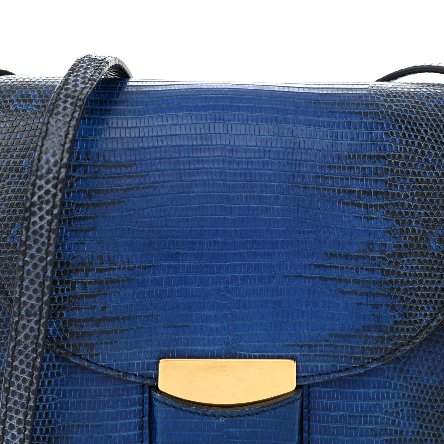 Celine Lizard Small Trotteur Blue 7 of 12