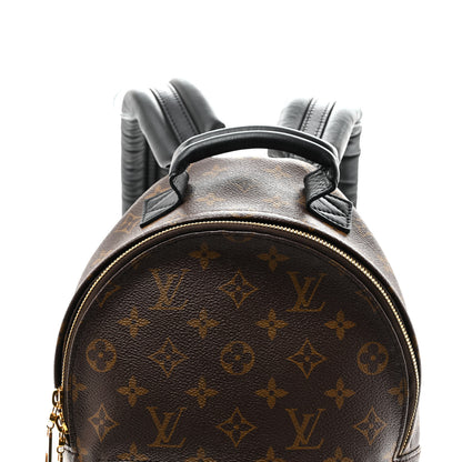 Louis Vuitton Monogram Palm Springs Backpack PM 7 of 10