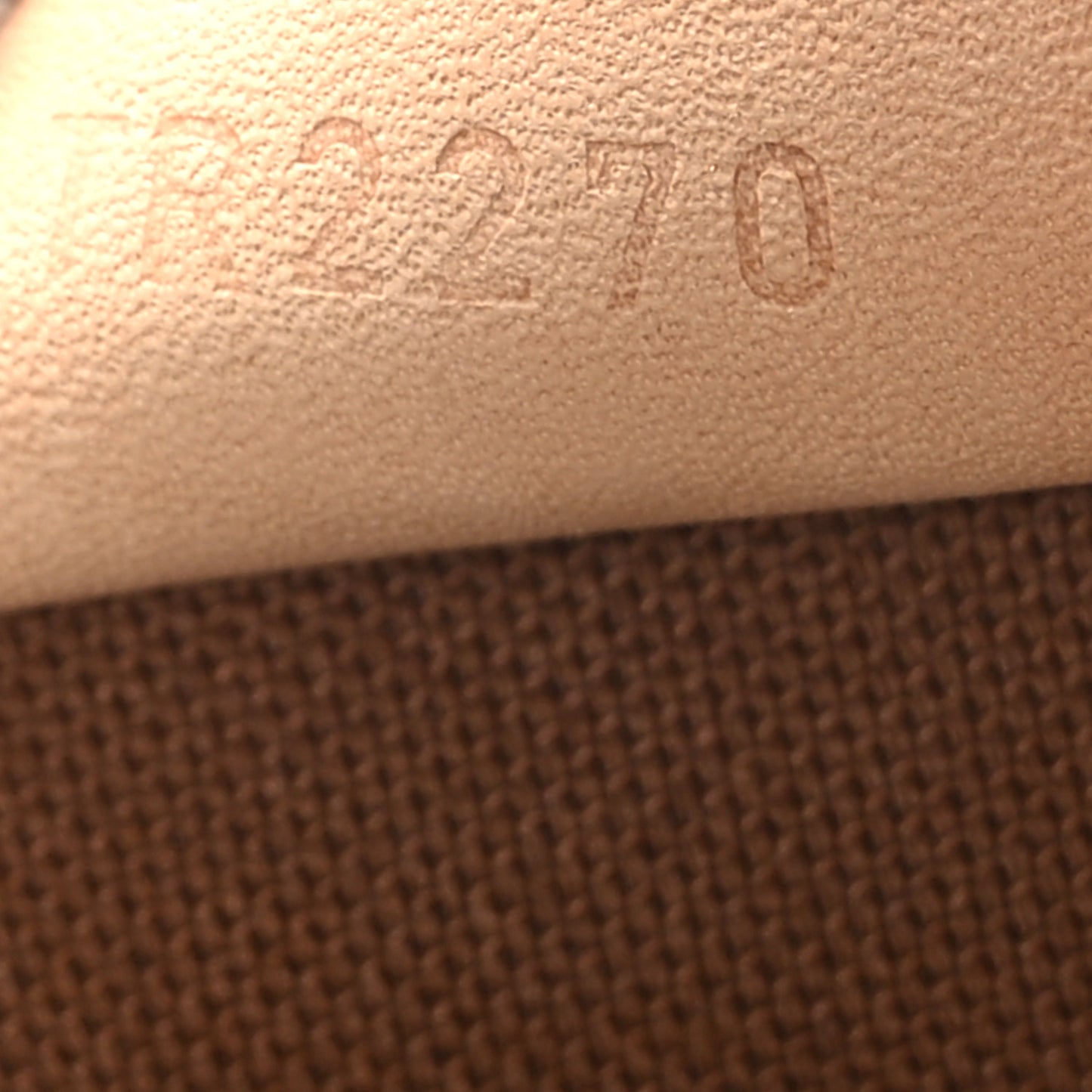 Monogram Nano Speedy