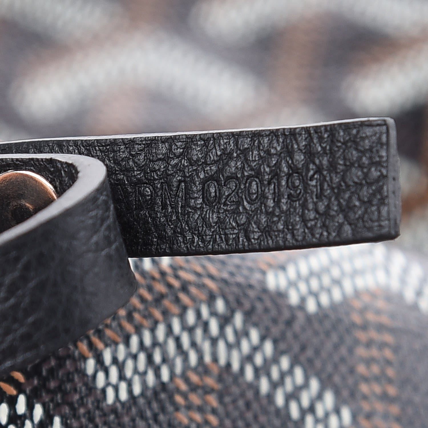 Goyard Goyardine Saint Louis PM Black 7 of 10