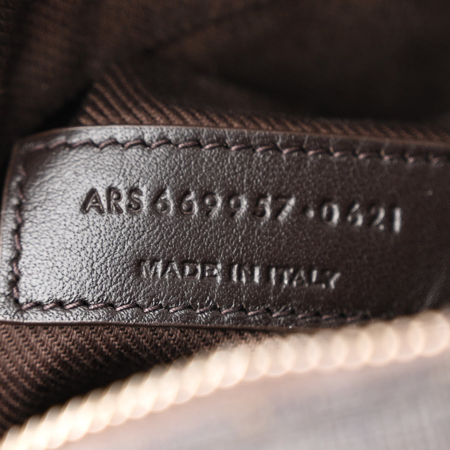 Canvas Smooth Calfskin Le Monogramme Camera Bag Chestnut