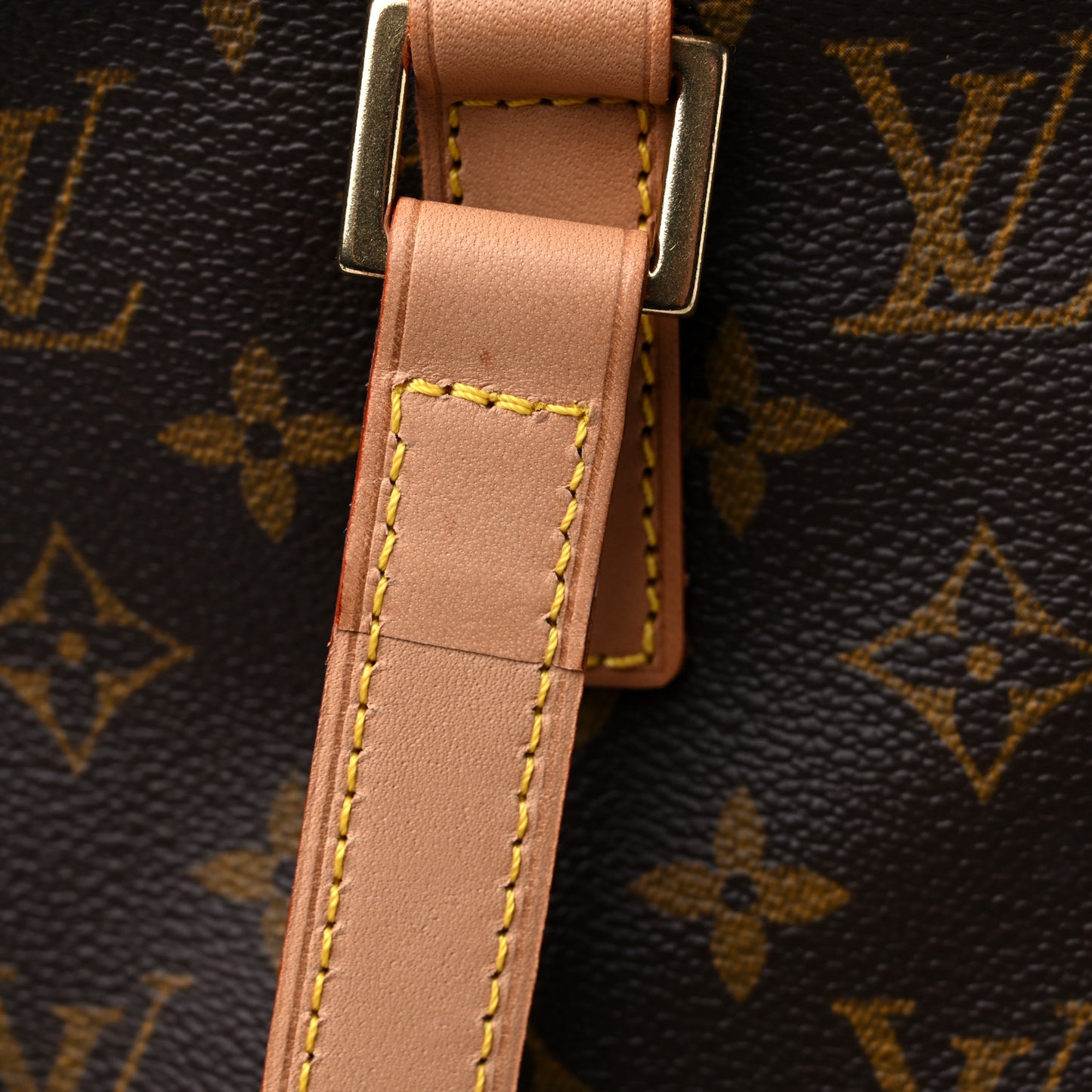 Monogram Cabas Mezzo