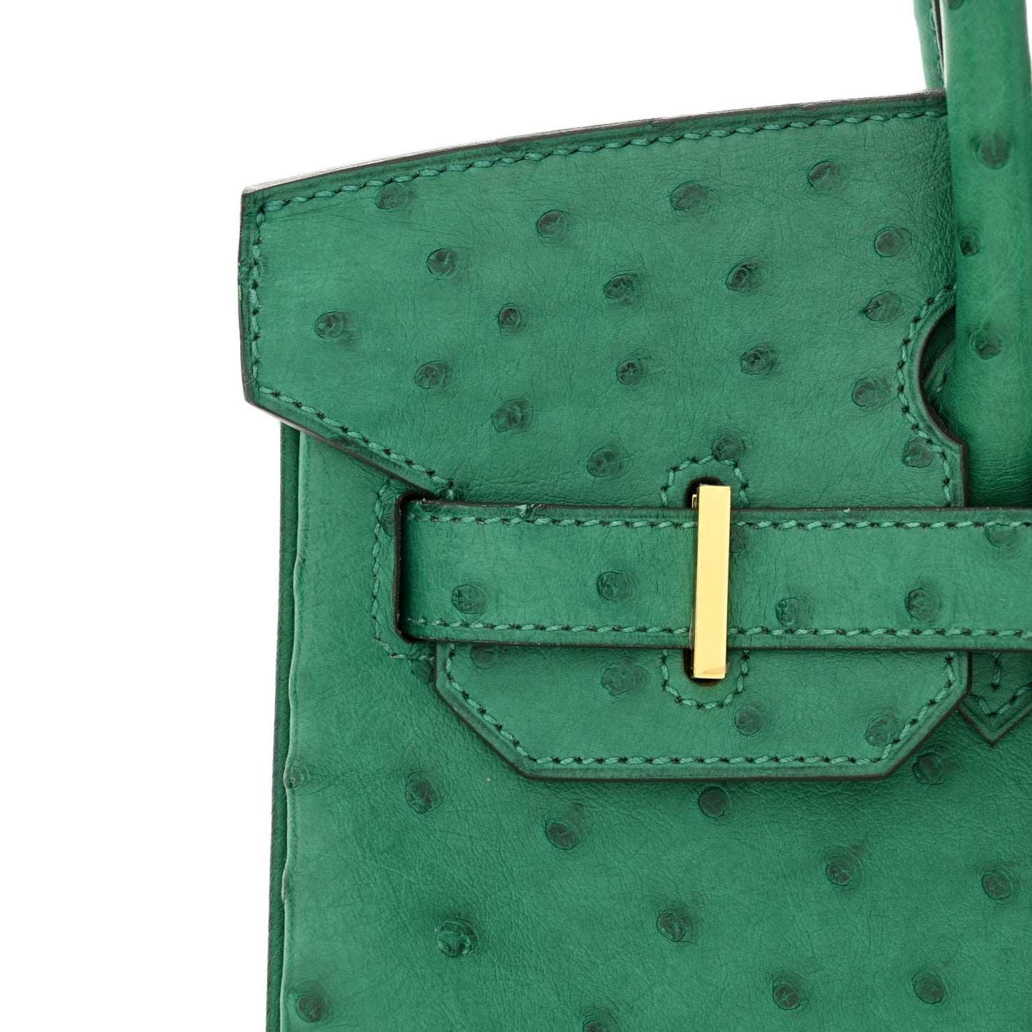 Ostrich Birkin 30 Vert Vertigo