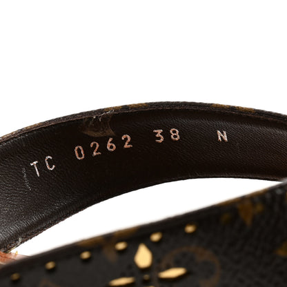 Louis Vuitton Monogram Sunny Flat Thong Sandals 38 Brown 8 of 9