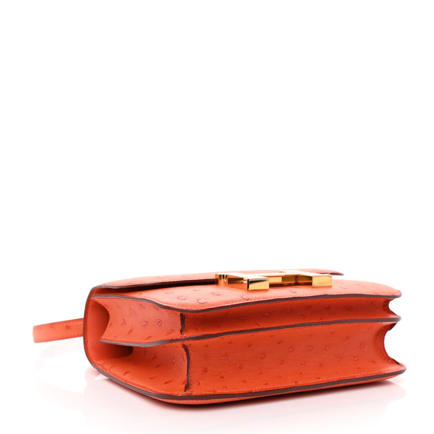 Ostrich Constance 18 Tangerine