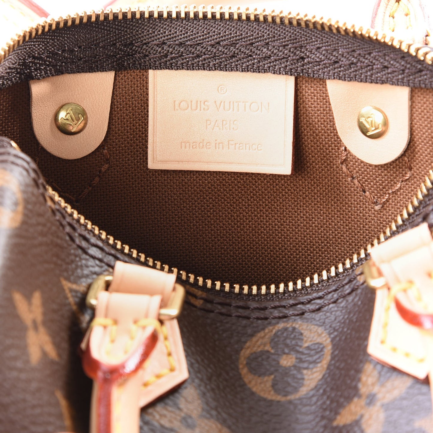 Monogram Nano Speedy