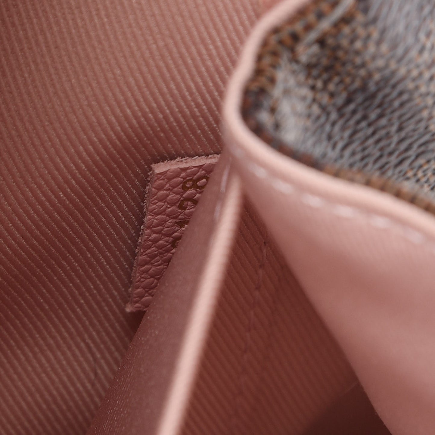 Damier Ebene Clapton Backpack Magnolia