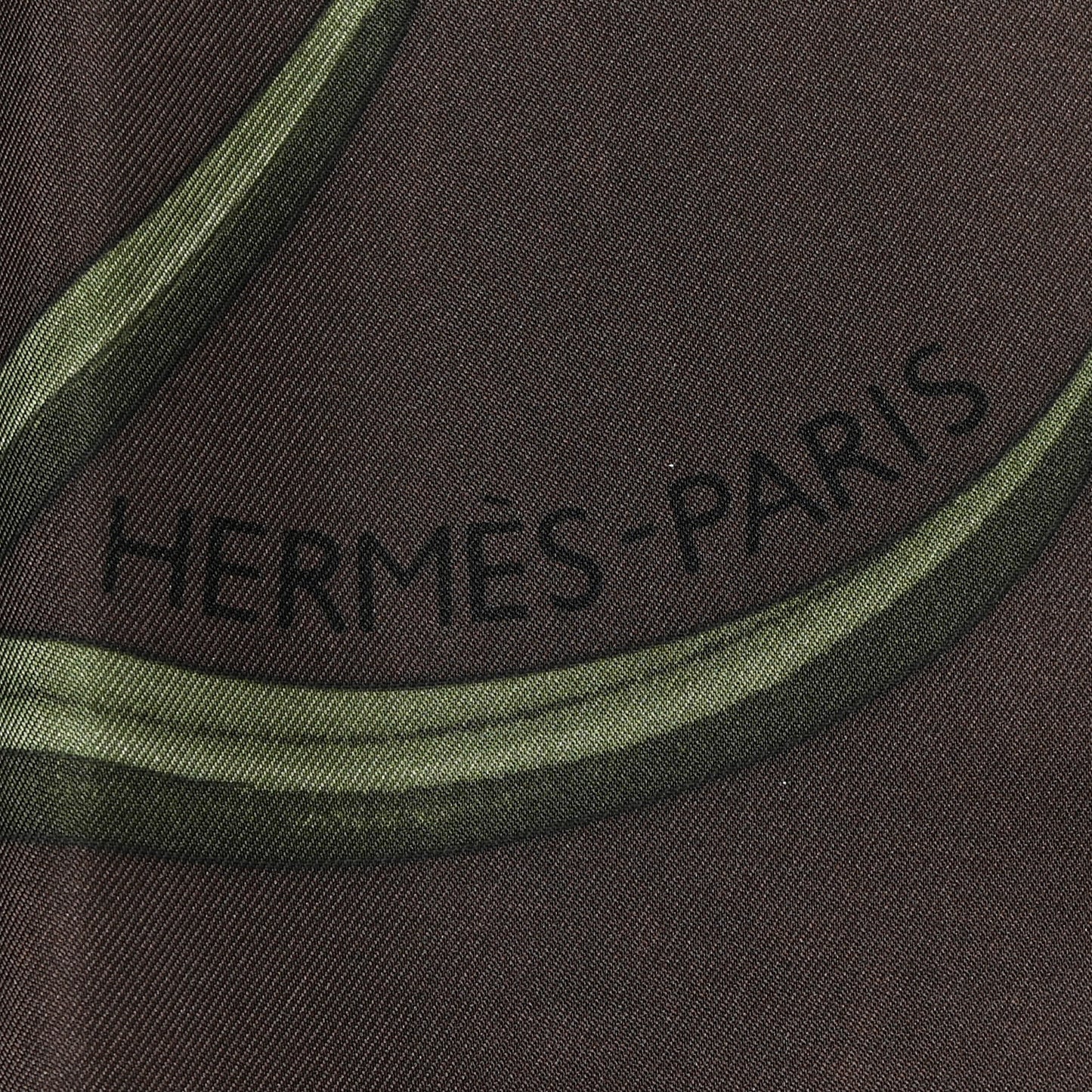 Silk Bouquet Final Scarf 90 Ebene Sable Vert