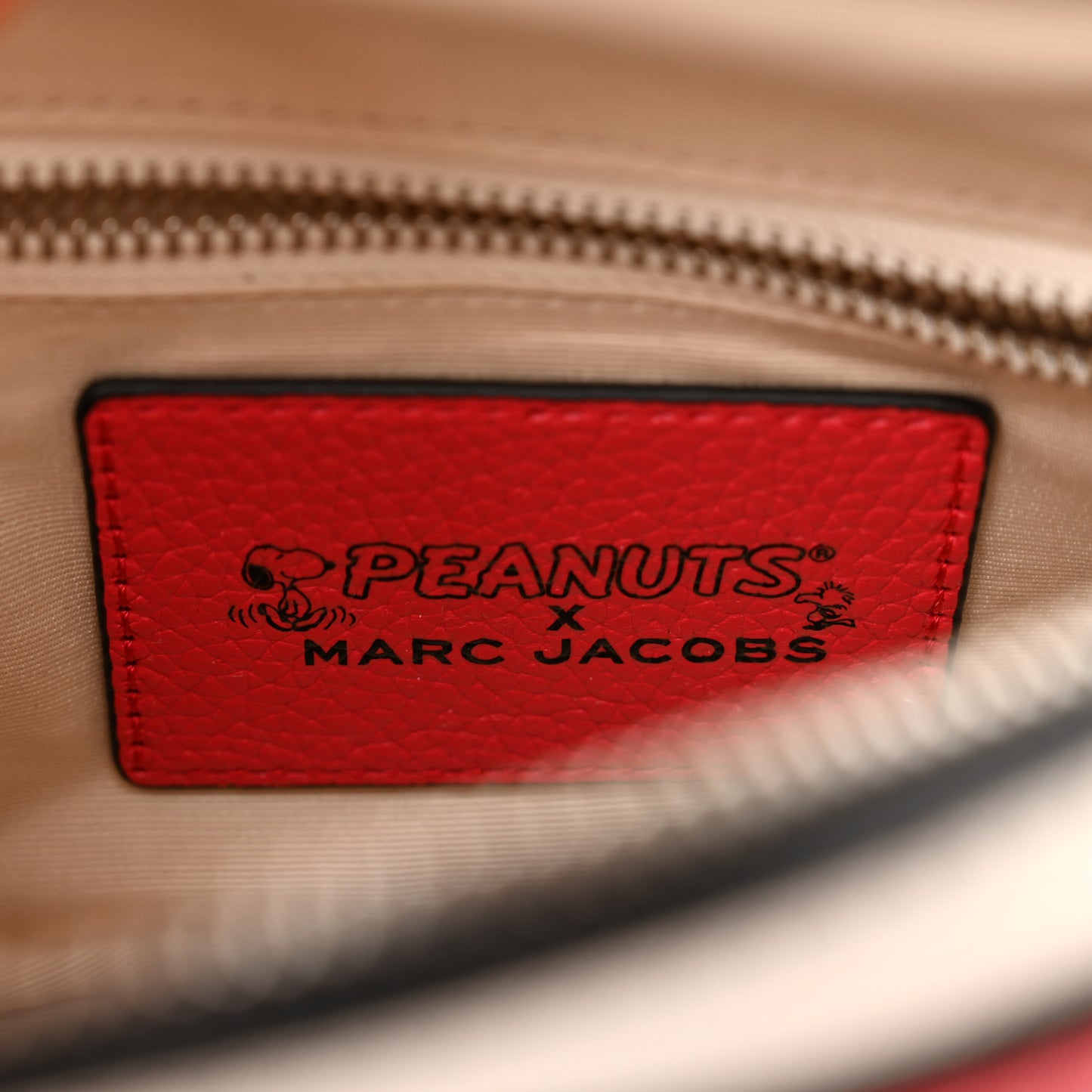 X Peanuts Calfskin The Box Crossbody Red
