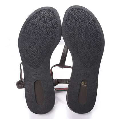 Gucci Calfskin Web Thong Sandals 35.5 Brown 5 of 7