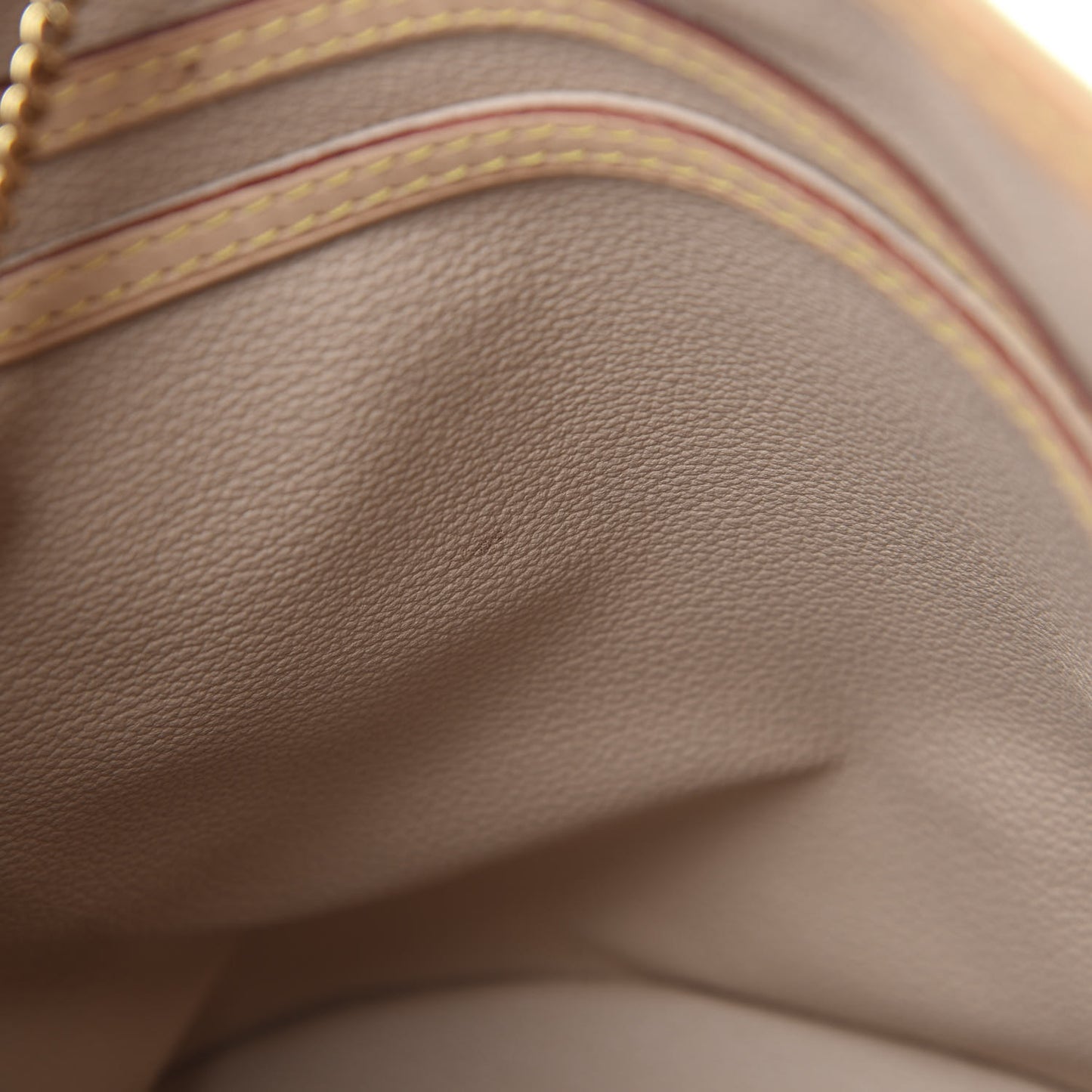 Monogram Petit Bucket 23