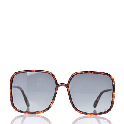 Christian Dior Acetate So Stellaire 1 Sunglasses Tortoise 2 of 7
