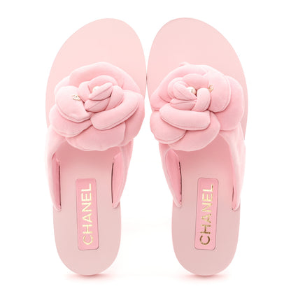 Chanel Suede Pearl Camellia Thong Sandals 37 Light Pink 2 of 10