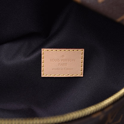 Louis Vuitton Monogram Bumbag 6 of 10