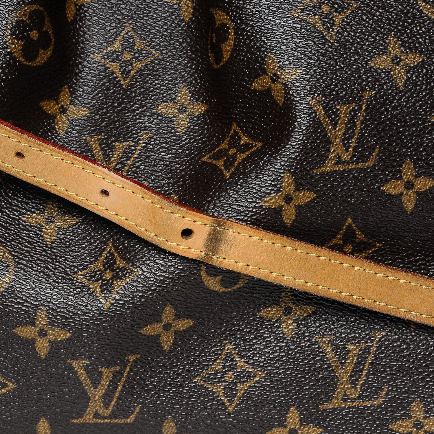 Louis Vuitton Monogram Palermo GM 8 of 11