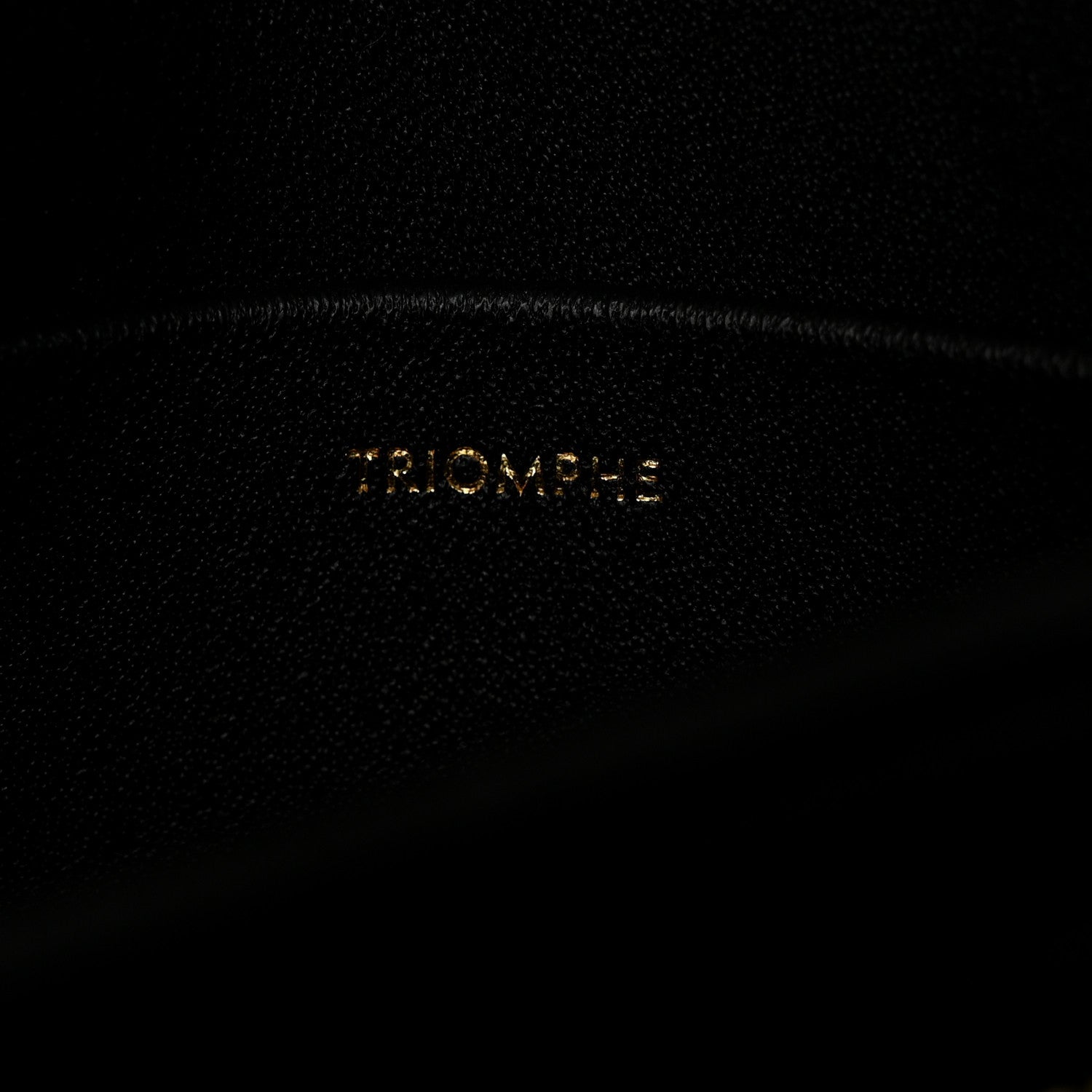 Celine Shiny Calfskin Teen Triomphe Black 7 of 10