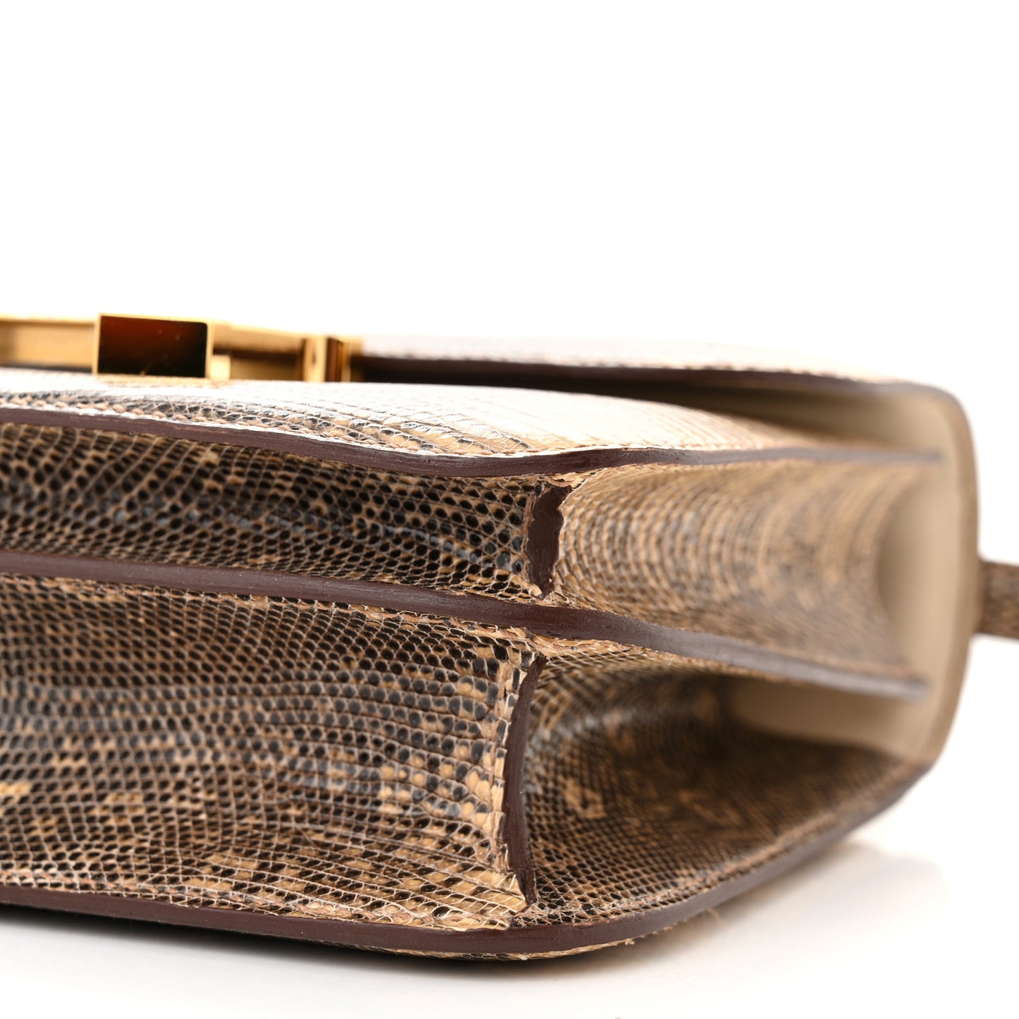 Lizard Constance 18 Ombre