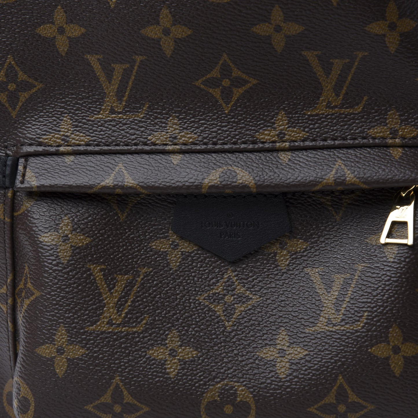 Monogram Palm Springs Backpack PM