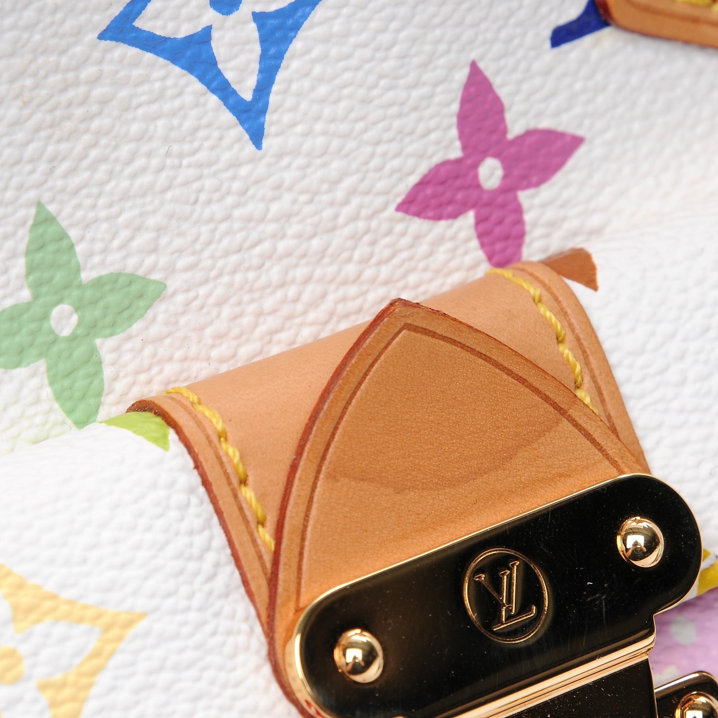 Monogram Multicolor Speedy 30 White