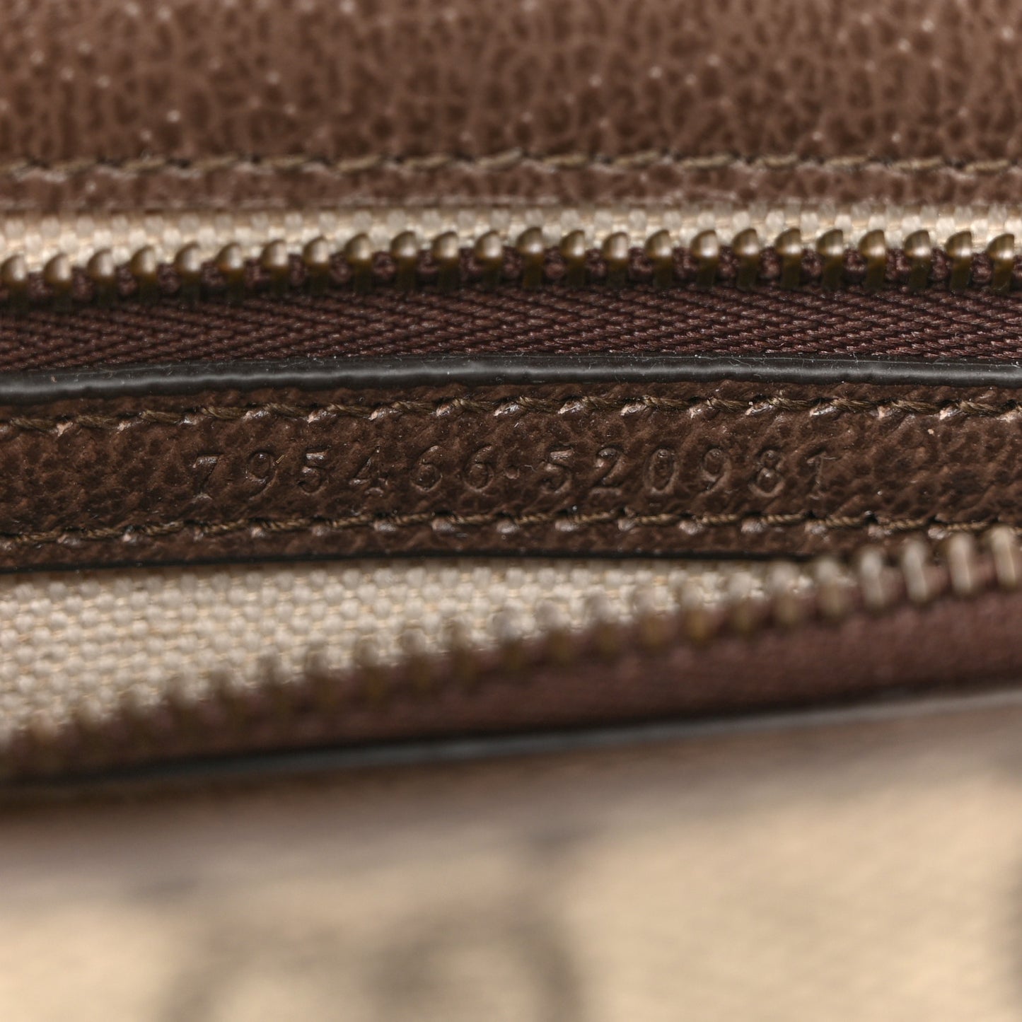GG Supreme Monogram Web Mini Ophidia Flap Shoulder Bag Brown