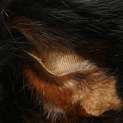 Chanel Mink Fur Medium Single Flap Multicolor 12 of 14