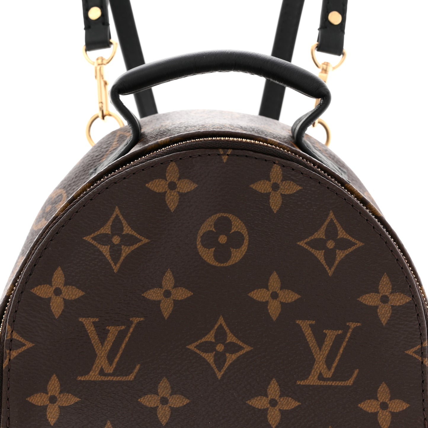 Monogram Palm Springs Backpack Mini