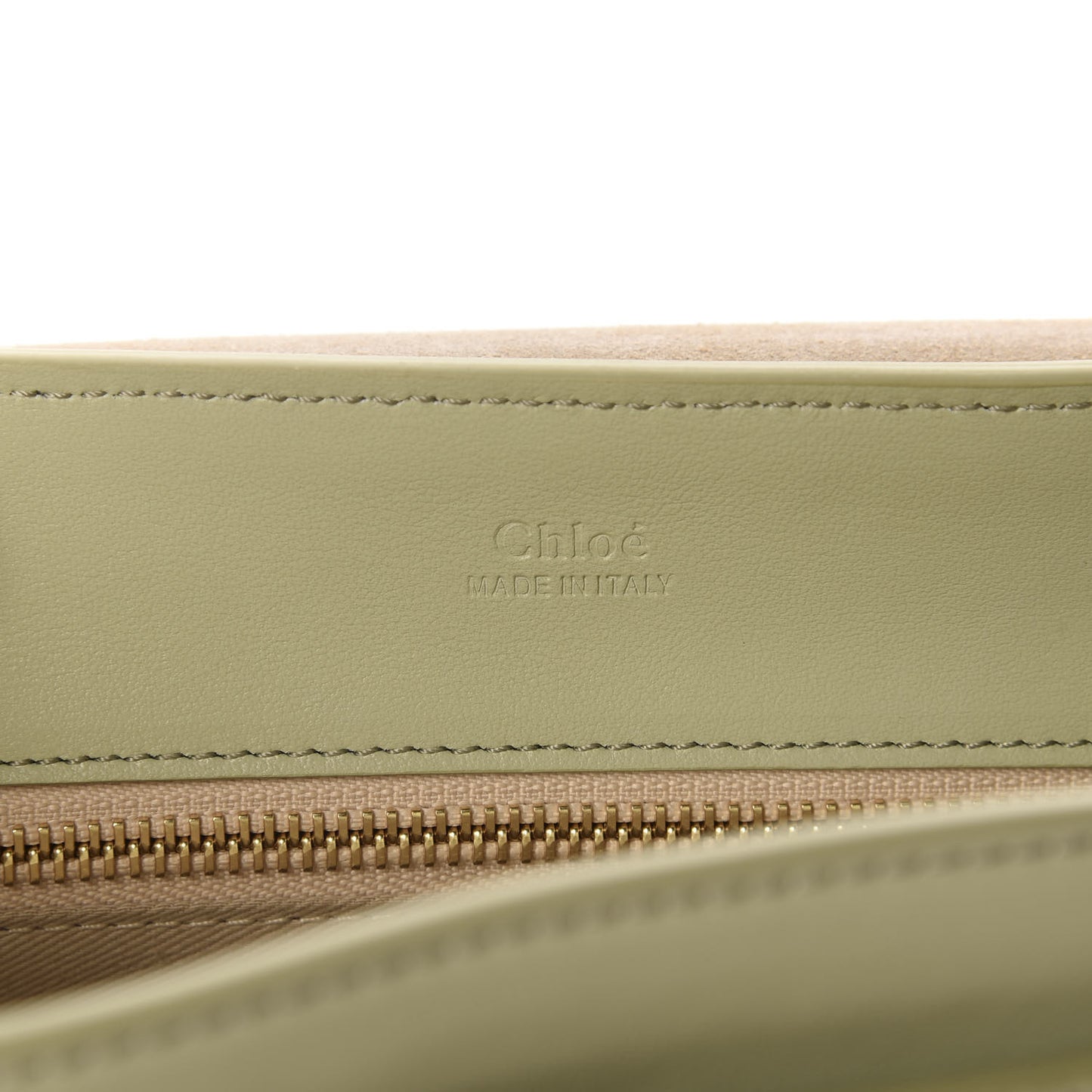Calfskin Mini Tess Day Bag Light Eucalyptus
