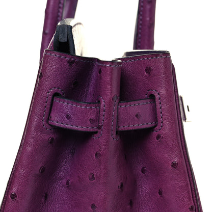 Hermes Ostrich Birkin 30 Violine 14 of 31