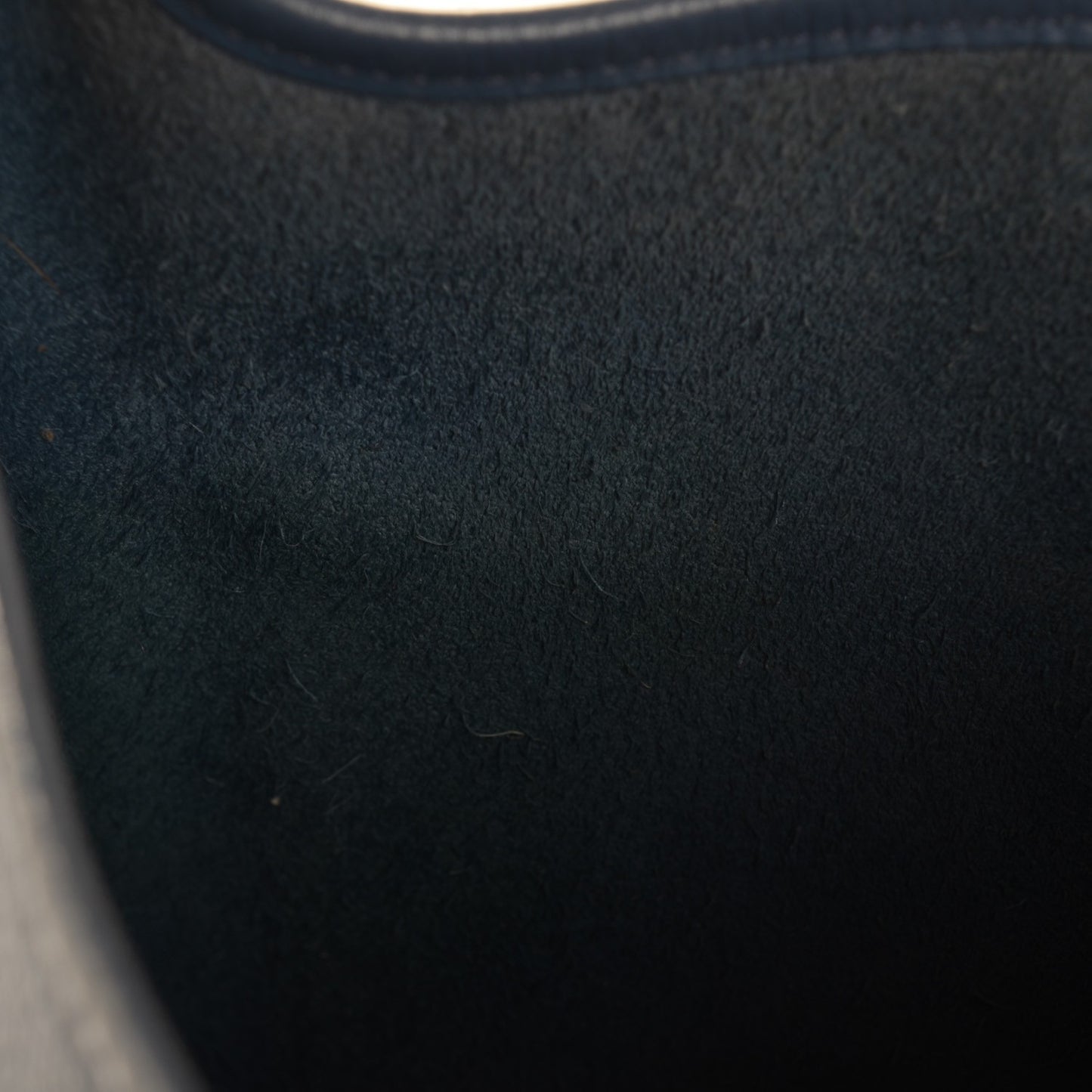 Taurillon Clemence Evelyne II PM Brighton Bleu