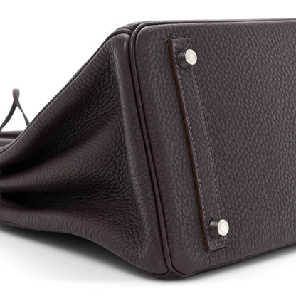 Hermes Togo BIRKIN 30 Raisin 8 of 14