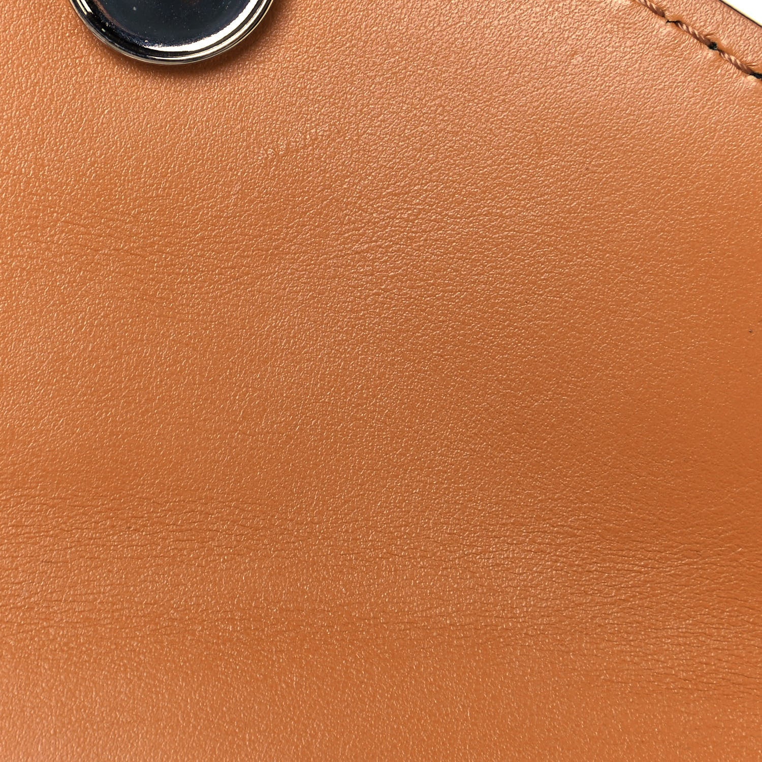 Chloe Python Embossed Shiny Calfskin Mini Aby Chain Shoulder Bag Faded Blue 12 of 13