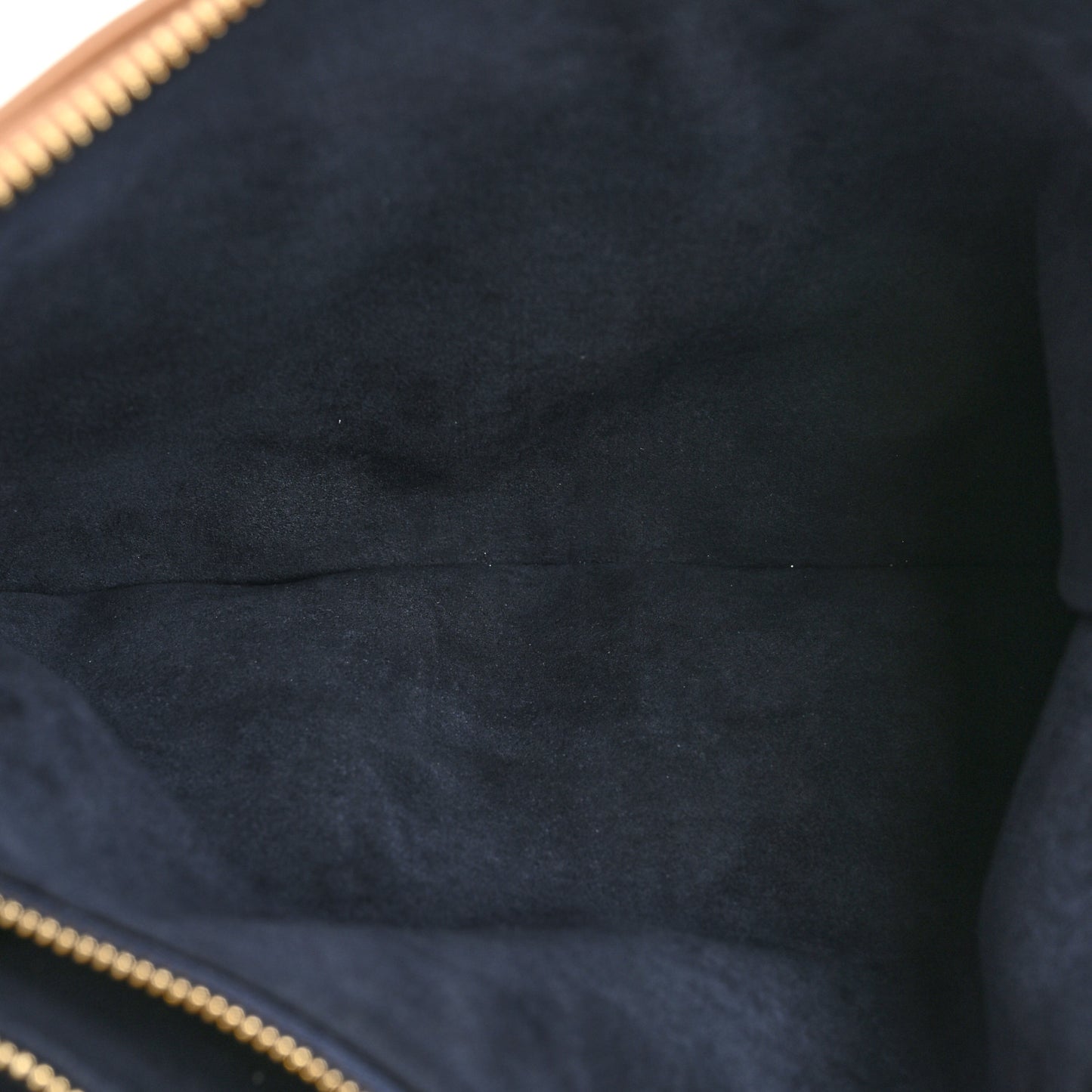 Lambskin Embossed Monogram Coussin PM Camel