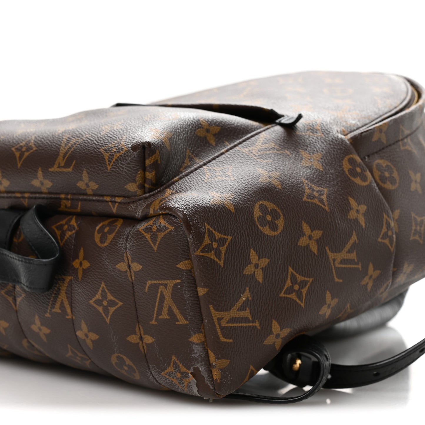 Monogram Palm Springs Backpack MM