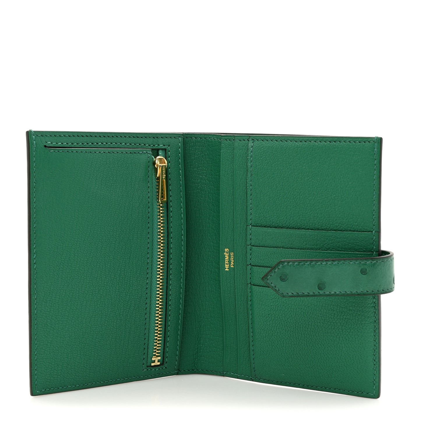 Ostrich Bearn Compact Wallet Vert Vertigo
