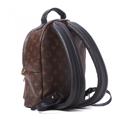 Louis Vuitton Monogram Palm Springs Backpack PM 3 of 9
