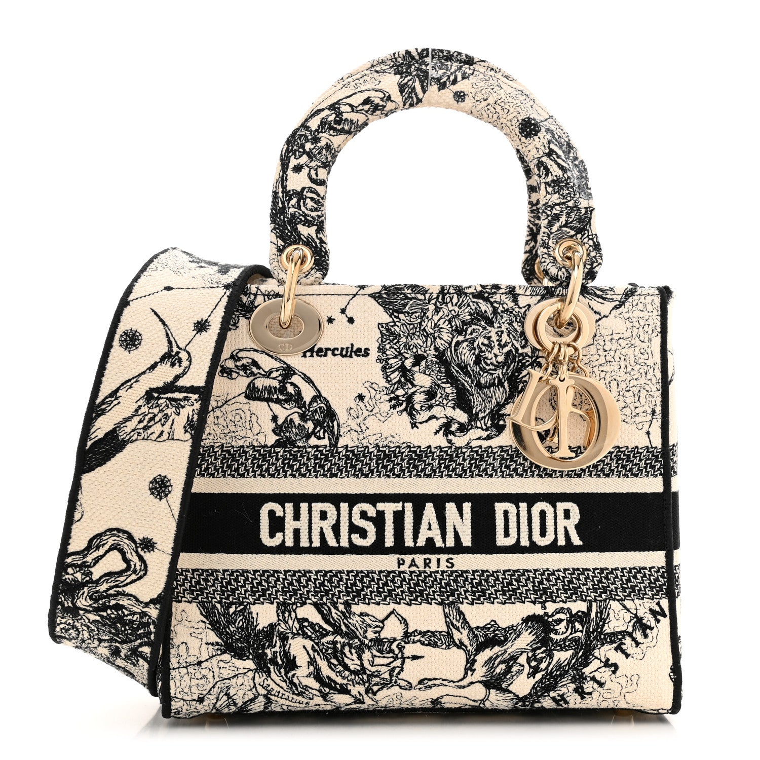 Christian Dior Canvas Embroidered Zodiac Toile De Jouy Medium Lady D-Lite Latte 1 of 15